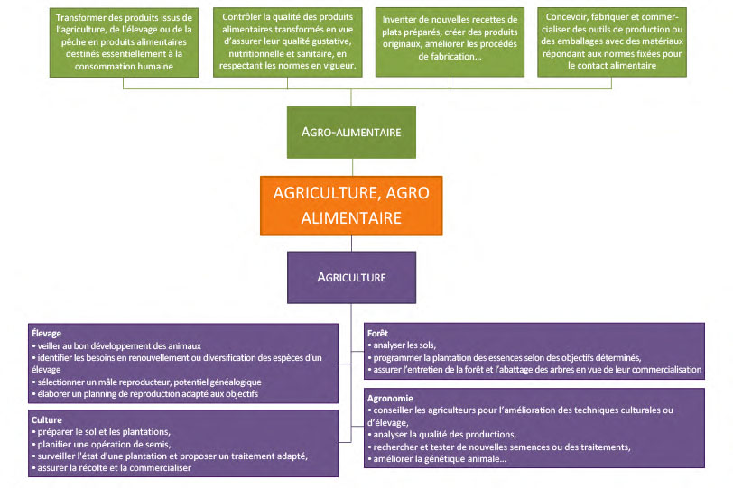 Schéma Agriculture, agroalimentaire