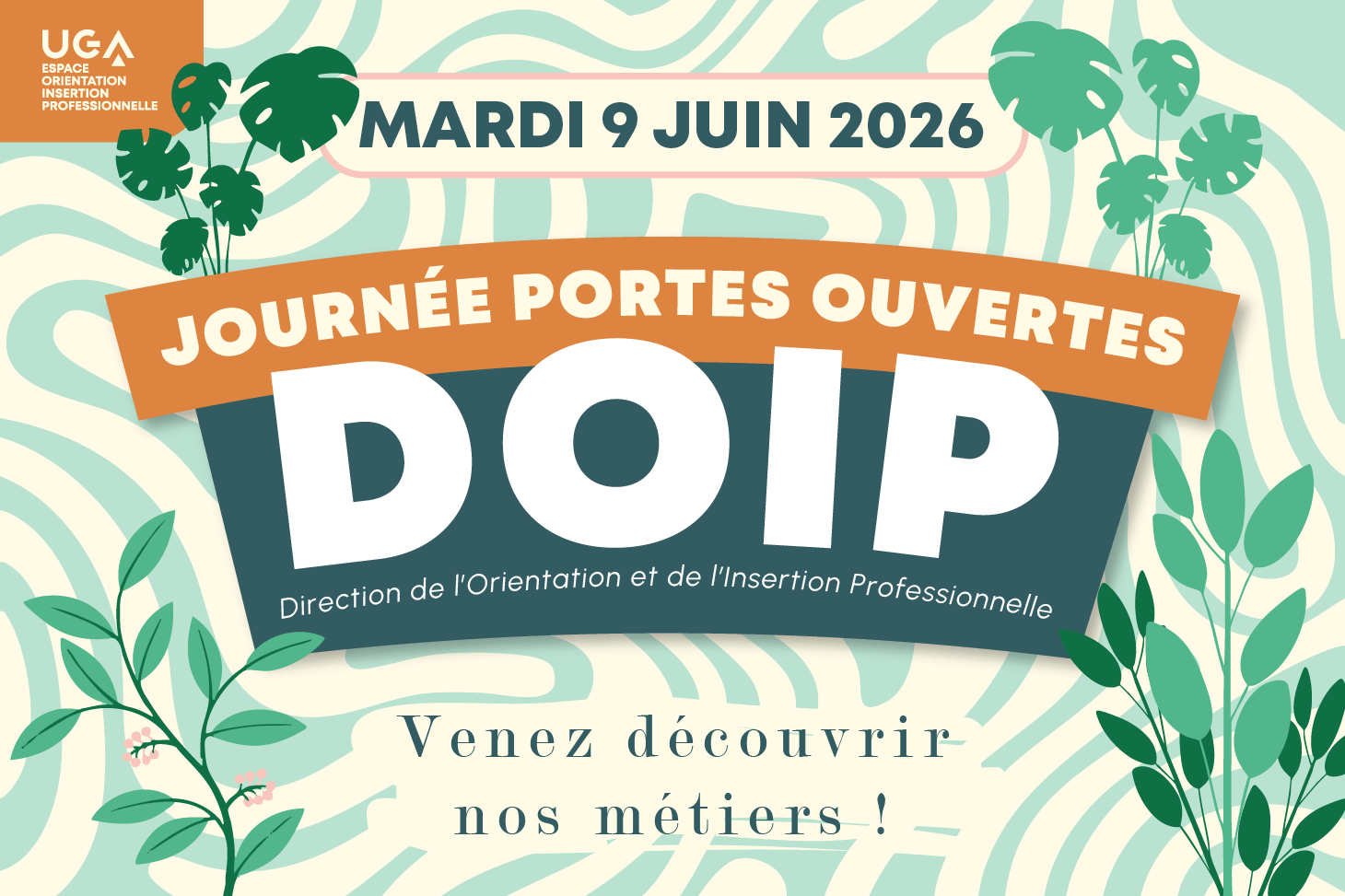 JPO DOIP